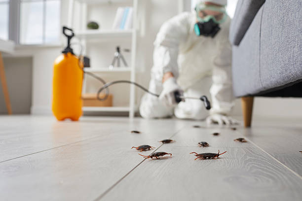 Commercial Kitchen Cockroach Control in Neptune Beach